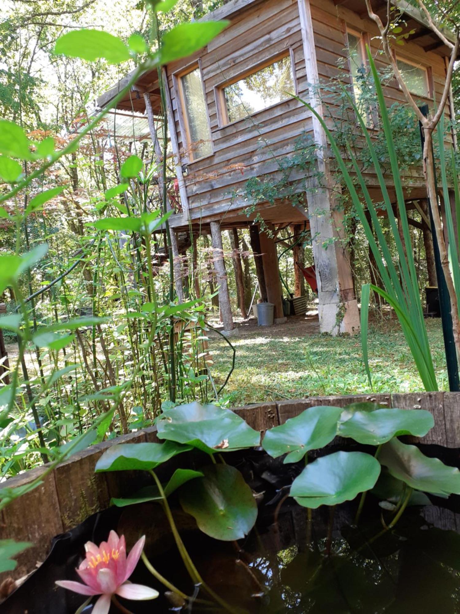 La Cabane De L'Oiseau Couze-et-Saint-Front Экстерьер фото
