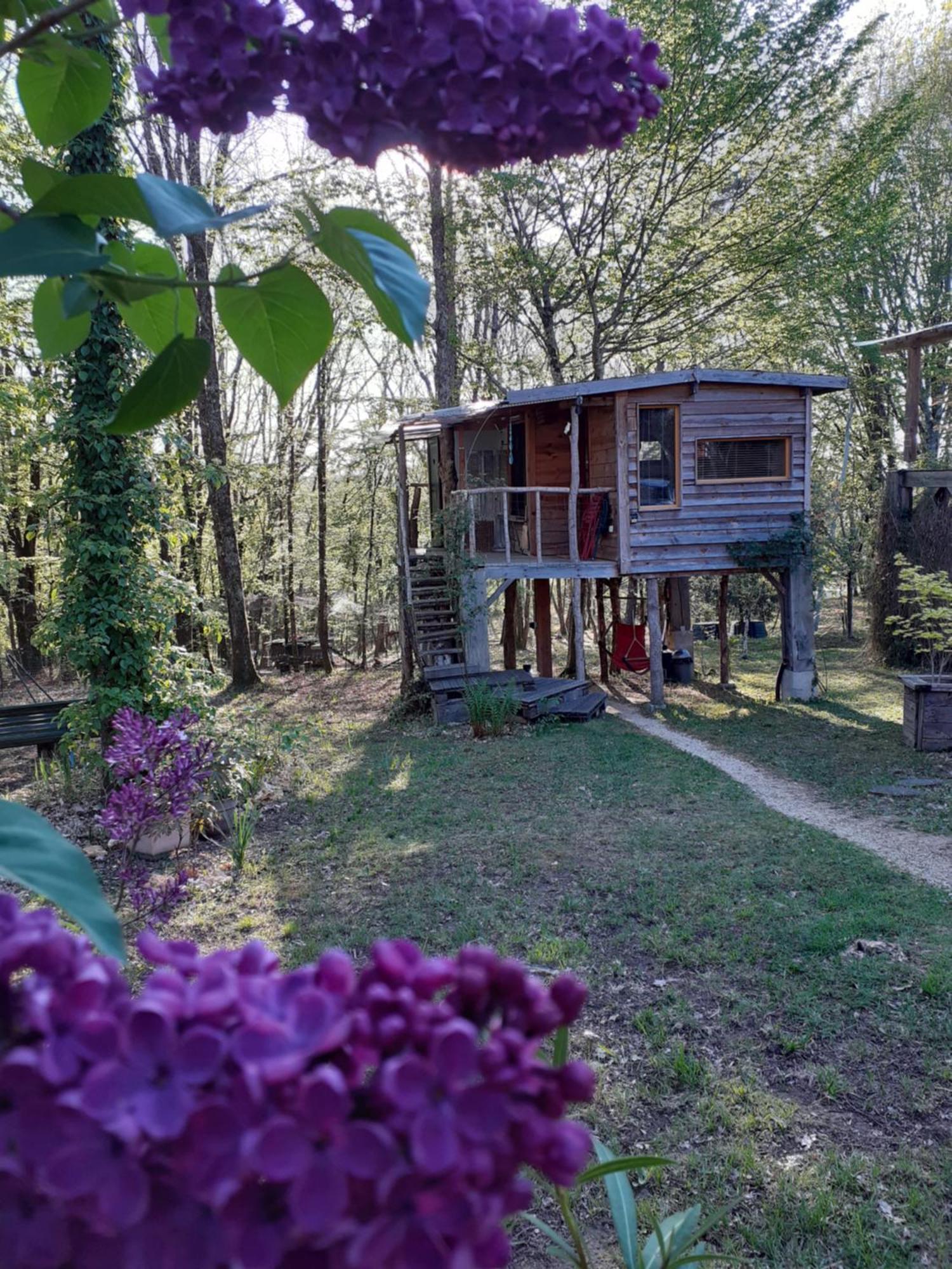 La Cabane De L'Oiseau Couze-et-Saint-Front Экстерьер фото