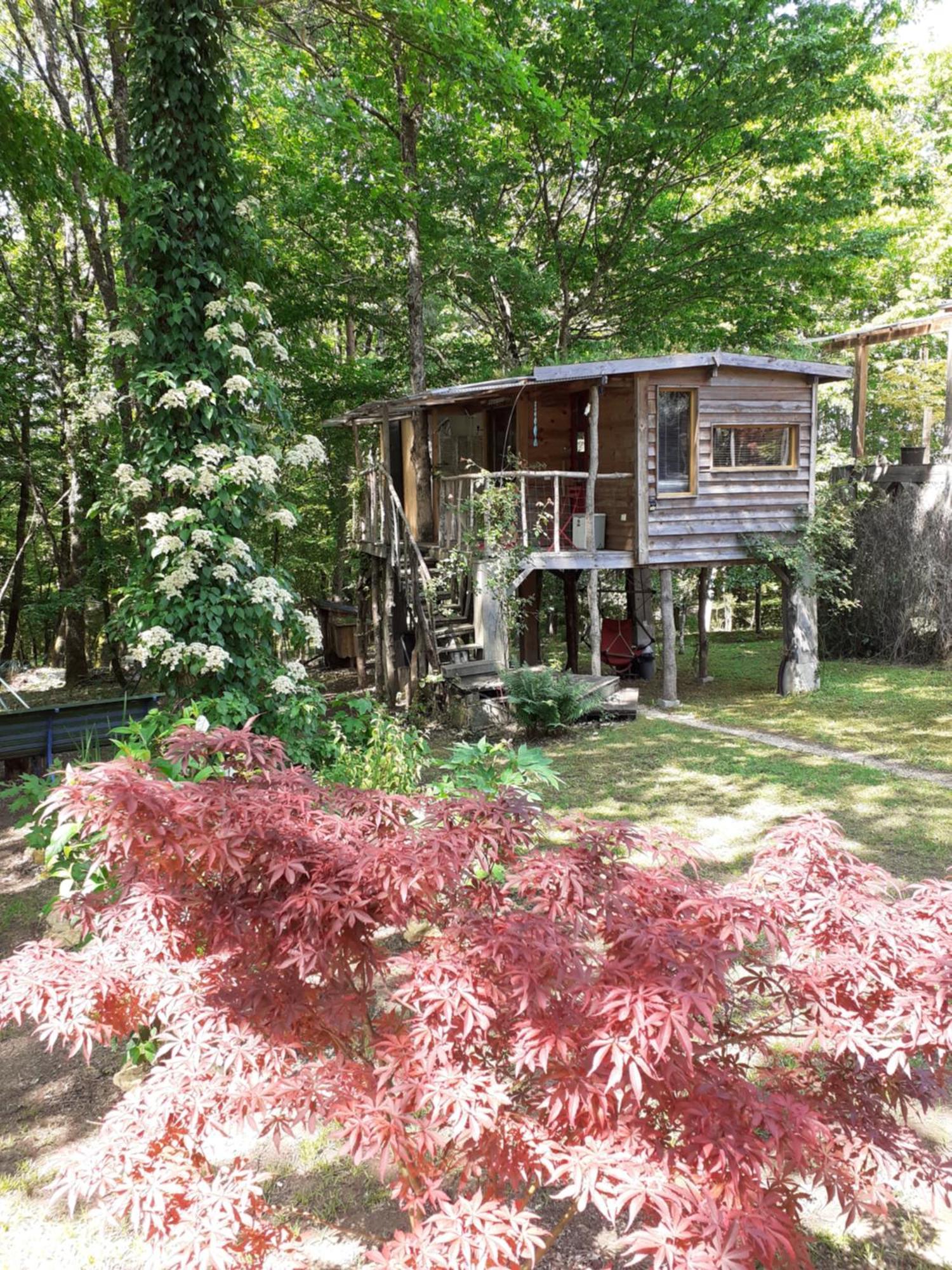 La Cabane De L'Oiseau Couze-et-Saint-Front Экстерьер фото